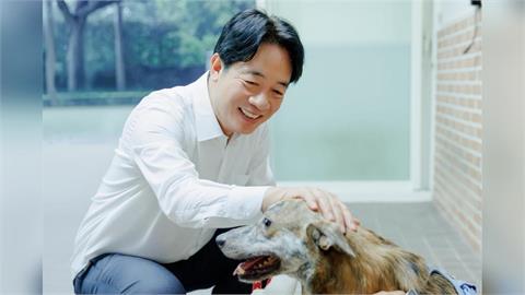 LIVE／信賴汪汪喵喵嘉年華會　賴清德出席現場最新