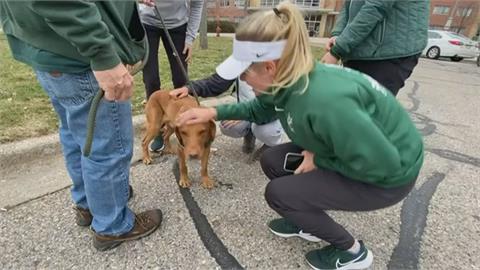 密西根州立大學槍擊釀傷亡　「狗醫生」暖心出動安撫受驚學生