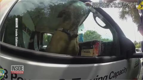 鎖警犬車內7小時熱衰竭喪命　美警官恐面臨18個月刑