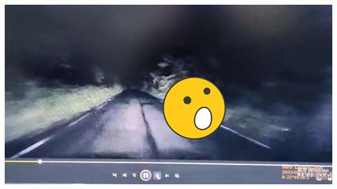 台東男驚見「半透明女」詭蹲路邊看車道　行車紀錄畫面曝：是地縛靈！
