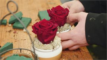 空運紅玫瑰不環保　法國提倡當季花卉送情人傳愛