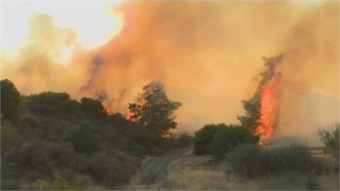 塞普勒斯史上最大森林野火釀4死　多國動員救火