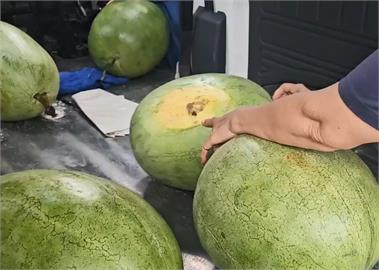 花蓮西瓜銷量大幅下降！　熱心民眾PO文　號召宜蘭鄉親支持
