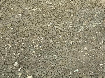 3月高溫乾旱創農損3億6653萬 農委會：屏東損失最為慘重