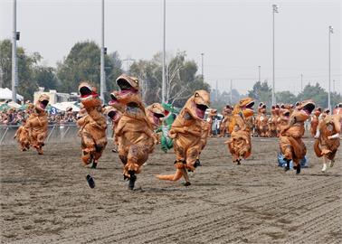 日本「恐龍運動會」　滾球大賽、比誰吼得大聲