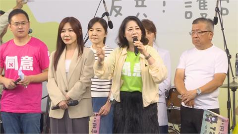 快新聞／狠酸藍營「對照組」動員造勢　吳思瑤：民進黨活動皆人民自發