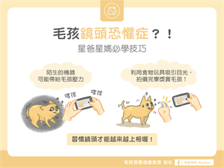 【汪喵訓練術】毛孩鏡頭恐懼症？！星爸星媽必學技巧