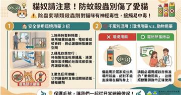 這款殺蟲劑恐傷喵星人！「天然除蟲菊精」對貓毒性較高　環境部出手
