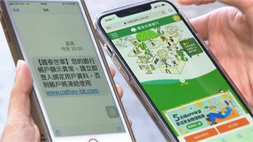 小心！這是詐騙簡訊  假國泰世華釣魚簡訊  三天21人受騙  詐騙金額高達300萬