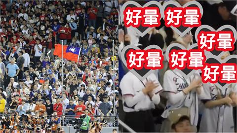 台日大戰換投掀戰火！日球迷見「一排台灣女神狂跳」倒戈：爆炸了