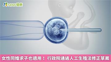女性同婚求子也適用！ 行政院通過人工生殖法修正草案