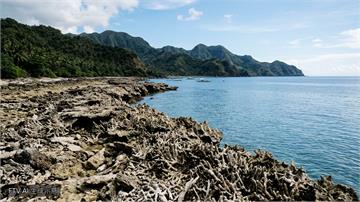 菲律賓7.8強震現奇景　海底抬升2公尺變新海岸線