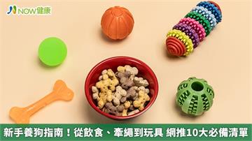 新手養狗指南！從飲食、牽繩到玩具 網推10大必備清單