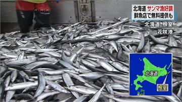 北海道秋刀魚盛產 海產店免費大放送