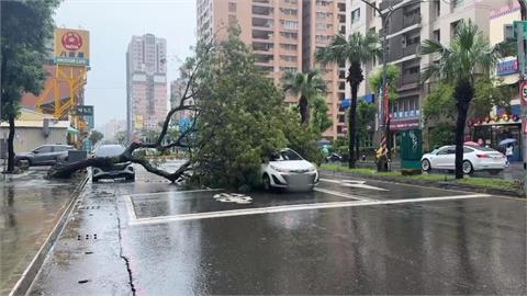 高雄8月降雨破紀錄　前鎮區路樹倒塌砸毀2車