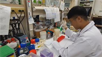 石斑魚提煉出「抗菌肽」 能研發成藥物治燒燙傷