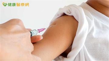 國內新增2例流行性腦脊髓膜炎　今年累計7例較近年同期略高
