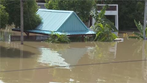 河水灌進泰國餐廳反成新景點　食客邊泡腳邊跟魚群互動