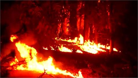 智利史上最大規模野火延燒　已釀至少２３死９７９傷