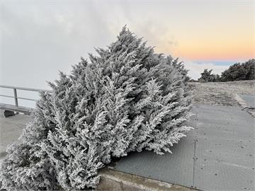 今年最強冷氣團來襲！「急凍3時段」低溫下探8°C　高山「白頭」有望