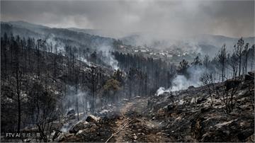 西班牙野火漸受控制　萬名撤離居民陸續重返家園