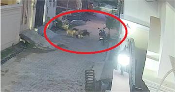 5歲童遭流浪犬群攻擊「驚悚畫面曝光」！印度流浪犬問題失控　狂犬病風險再引關注