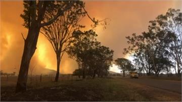 澳洲昆士蘭省高溫釀野火！8千人撤離家園