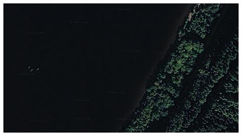 尼斯湖水怪？Google Earth放大驚見「3神秘物體」　她興奮喊：是尼斯一家