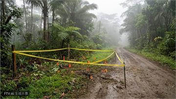 盧安達流亡異議人士遭斬首　烏干達警展開跨國凶殺調查