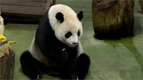 凍漲26年！　北市動物園漲價「非市民」全票100元