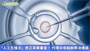 「人工生殖法」修正草案審查！ 代理孕母脫鉤表決通過