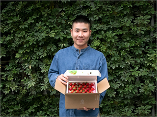 拿掉塑膠片還能保護草莓不受損？無毒農如何為草莓盒減塑換新裝 ？
