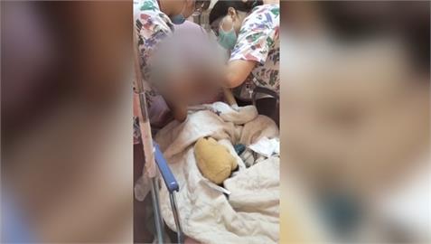 女童遭鄰居狗狂咬噴血全身傷　家長怒告鄰居