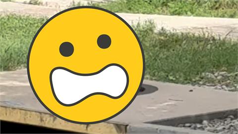 地下水道遭「整尊黑團」卡死！警一看「超凶猛獸→炸毛黑熊」搶救超萌畫面曝
