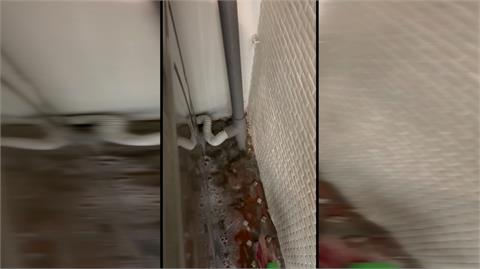 頂樓種植栽不修剪　根莖亂竄害整棟樓漏水