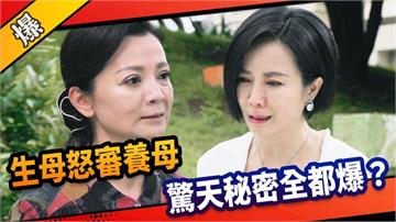 《市井豪門-EP178精采片段》生母怒審養母  驚天秘密全都爆？