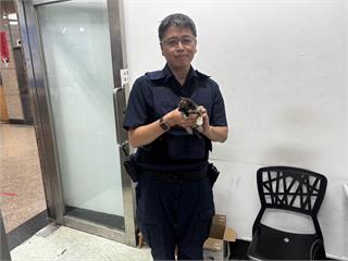 喵星人疑天冷躲引擎室「蹭熱度」 警化身貓奴神救援