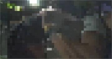 邀女學員遭拒！健身教練信義街頭化身浩克痛打同行友人　警押地制伏