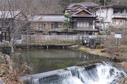20年前就開放寵物入住　日本百年溫泉1年接待6千隻！
