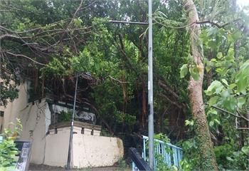 4學生颱風天夜遊西子灣　十八王公步道驚見男屍掛樹