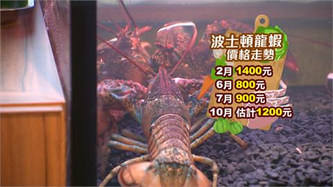 關稅衝擊！波士頓龍蝦產量減30%　鐵板燒餐廳賣一隻賠半隻