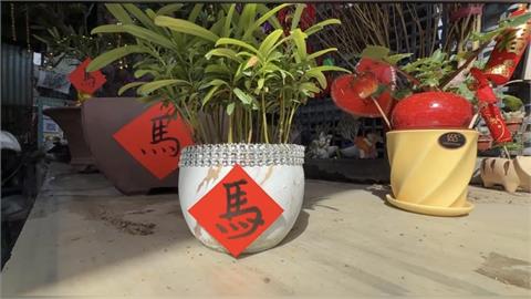 預期心理及氣候回暖影響　花市供貨量減１成採買要快
