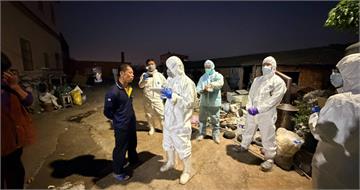 上次豬瘟才驚險過關！台中又爆違法廚餘養豬　豬農最高罰400萬