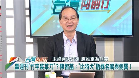 向前行(影)／陳智菡稱「比特犬」是綠營側翼！王瑞德：有膽就指名道姓！