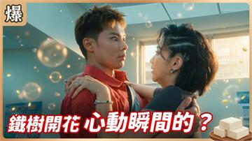 《豆腐媽媽-EP190精彩片段》鐵樹開花 心動瞬間的？