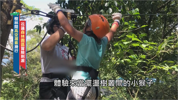 森林裡當「空中飛人」 樹冠層探險在花蓮就能玩到！