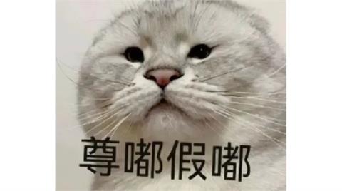  2024神回顧／破防、活網、已購買小孩愛吃！年度爆紅流行語TOP 10　冠軍曾登牛津詞典 
