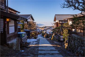 大蟑螂攻陷東日本！雌蟲靠「單性繁殖」瘋狂倍增