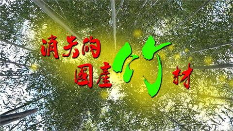 異言堂／國產竹材年產量腰斬　異言堂溯源追查原因
