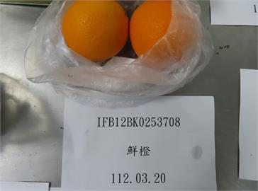 快新聞／香吉士鮮橙農藥超標！　逾2.3萬公斤全數退運銷毀